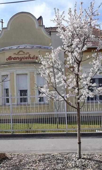 부다페스트 Aranyoshaz-Vendeghaz 아파트 외부 사진